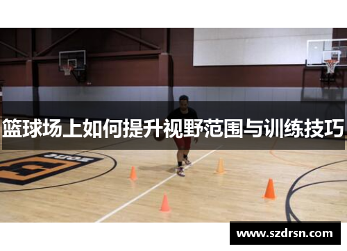篮球场上如何提升视野范围与训练技巧
