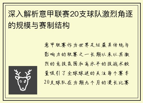 深入解析意甲联赛20支球队激烈角逐的规模与赛制结构