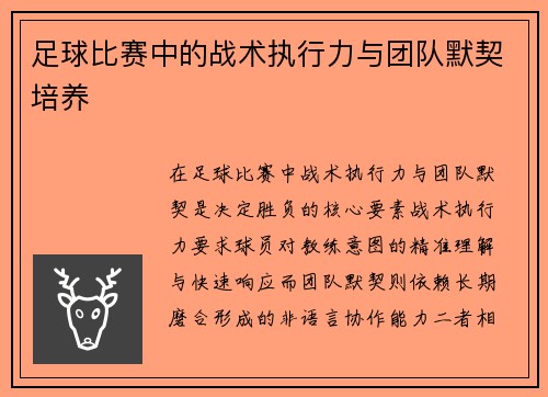 足球比赛中的战术执行力与团队默契培养