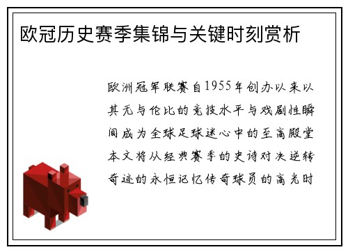 欧冠历史赛季集锦与关键时刻赏析