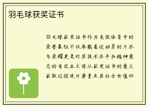 羽毛球获奖证书